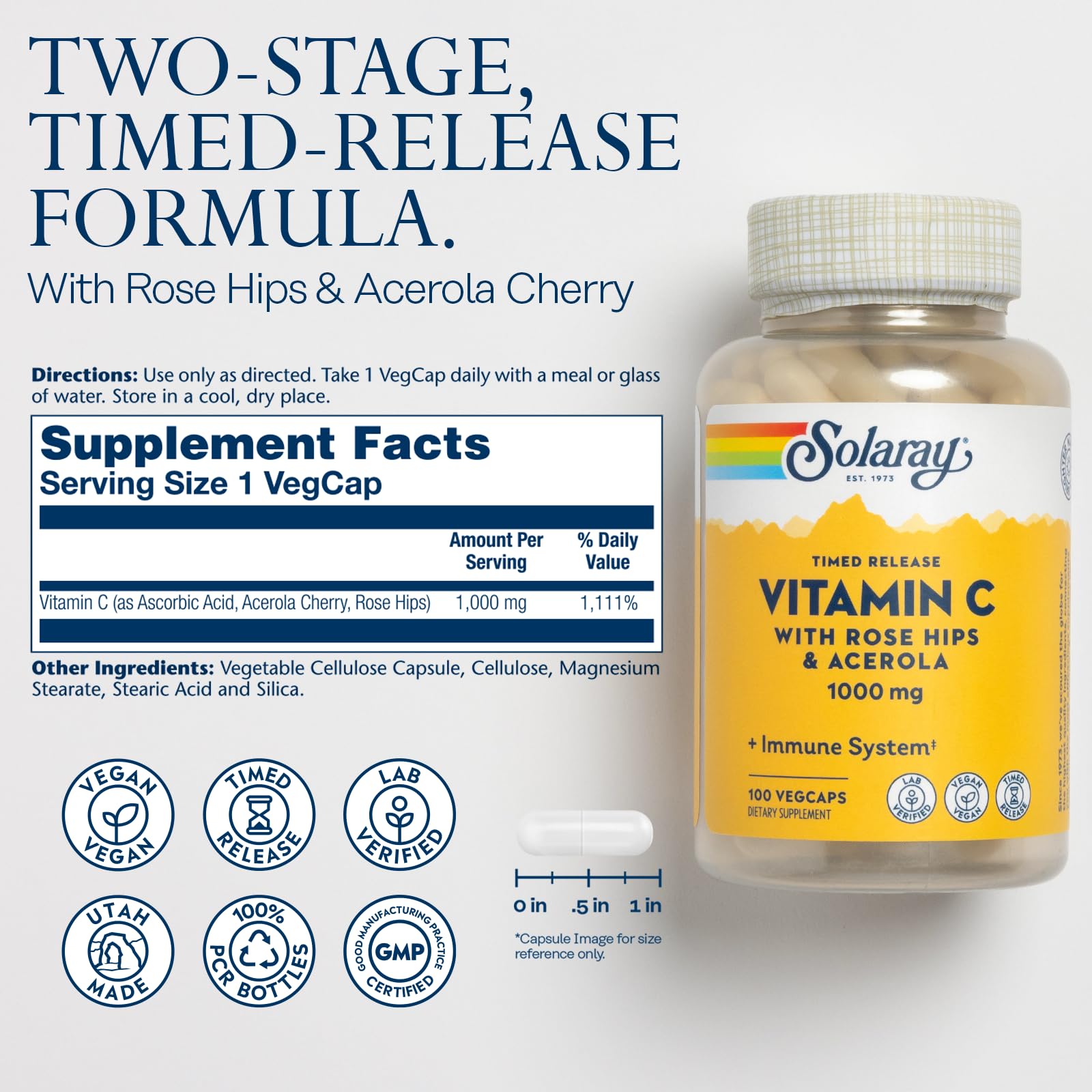 SOLARAY Vitamin C 1000mg - Time Release Vitamin C Capsules w/Rose HIPS and Acerola for Bioflavonoid Support - Two-Stage, All-Day Immune Support - Vegan, 60 Day Guarantee