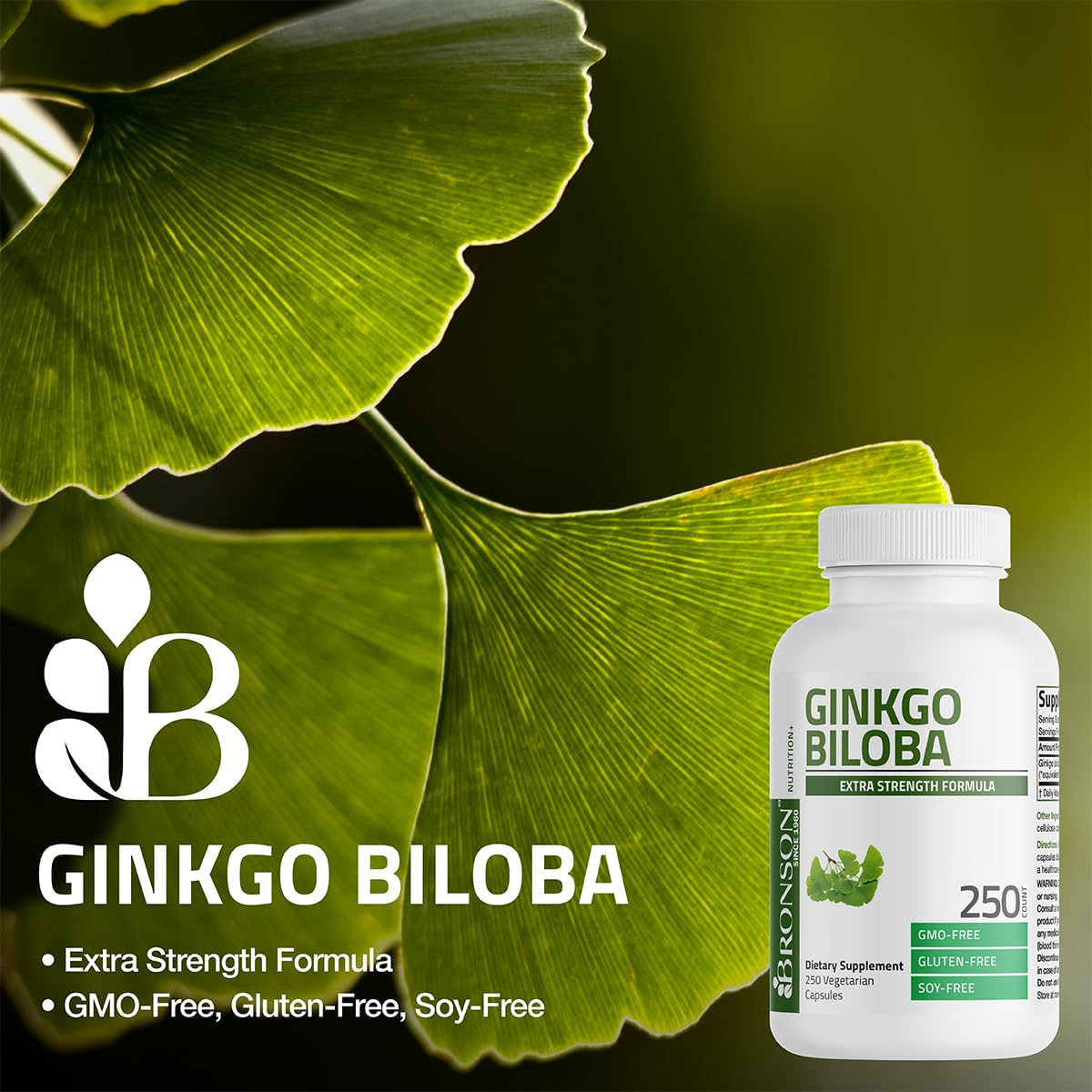 Bronson Ginkgo Biloba Extra Strength Brain & Memory Support 120 Capsules